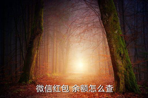 微信余額怎么查,微信查詢銀行卡余額流程如下；