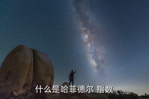 什么是哈菲德?tīng)?指數(shù)