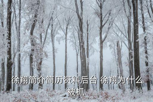 徐翔是怎么回事,徐翔、王偉、犯受賄罪被判入獄五年半