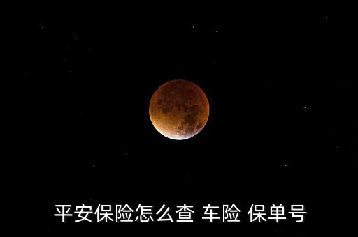  平安保險(xiǎn)怎么查 車(chē)險(xiǎn) 保單號(hào)