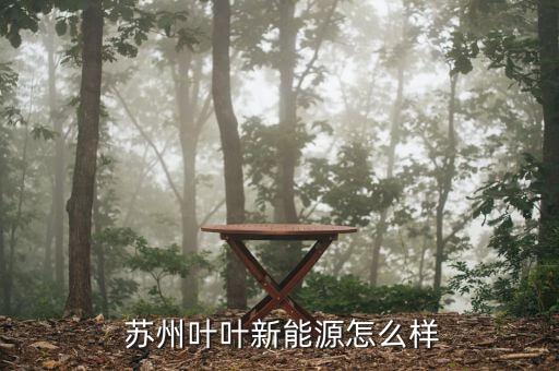 蘇州二葉怎么樣,?？粕究七x拔性考試