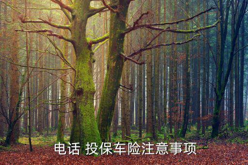 電話投保怎么辦,電話車(chē)險(xiǎn)投保流程簡(jiǎn)單方便受車(chē)主歡迎