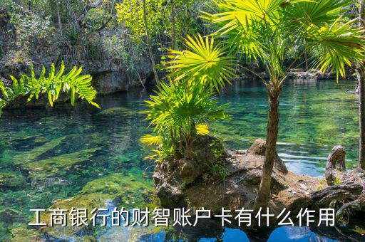 工行財(cái)智卡被鎖死怎么辦,銀行理財(cái)智賬戶卡1功能、特點(diǎn)和優(yōu)勢(shì)