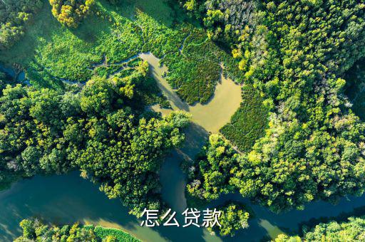 怎么借貸,小曼app-優(yōu)花花貸利率低、放款快、安全等特點(diǎn)