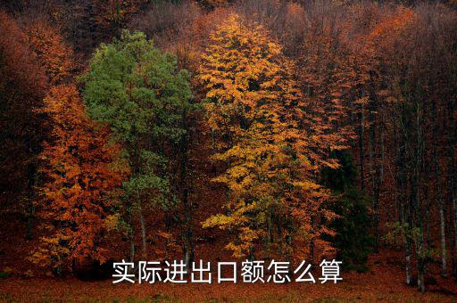 實際進(jìn)出口額怎么算