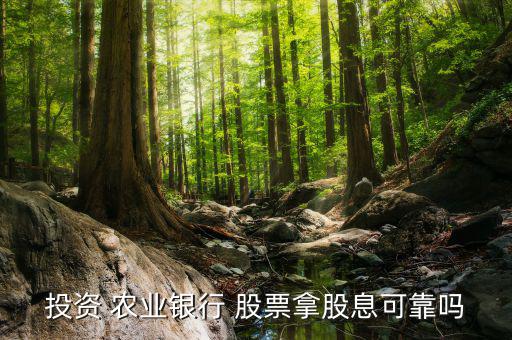 投資 農業(yè)銀行 股票拿股息可靠嗎