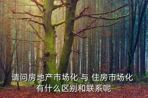 什么是房地產(chǎn)市場化，房地產(chǎn)市場分化甚么意思