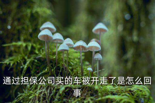 擔(dān)保公司為什么跑，這是擔(dān)保公司又跑一個的節(jié)奏嗎 求證實