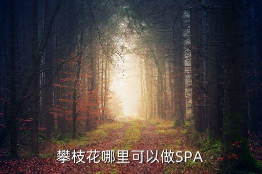 雅化集團攀枝花恒泰做什么的，攀枝花哪里可以做SPA