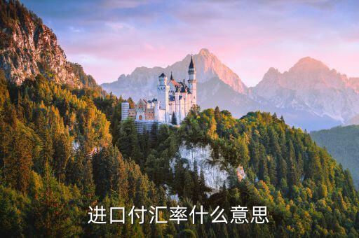 進(jìn)口付匯是什么意思，進(jìn)口付匯是什么