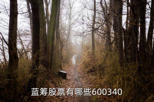 華維電瓷股票有什么，A股小市值股票有哪些謝謝盡力而為列舉