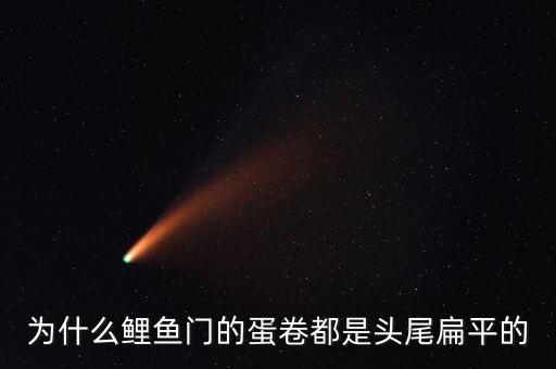 什么是蛋卷指數(shù)，為什么鯉魚門的蛋卷都是頭尾扁平的