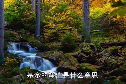 基金的產(chǎn)品凈值是什么意思，基金中的凈值是什么意思
