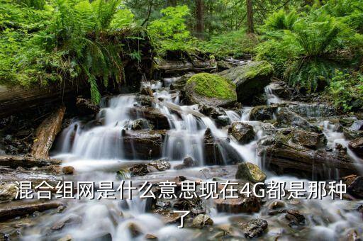 中國電信混合組網(wǎng)什么意思，混合組網(wǎng)是什么意思現(xiàn)在4G都是那種了