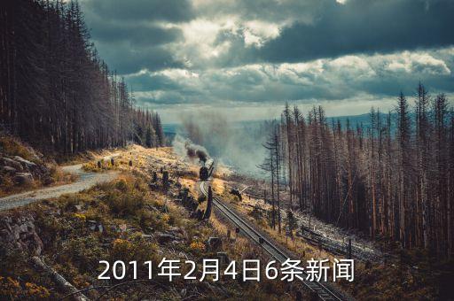 2月4日有什么新聞，2010年2月4日至2月20日新聞