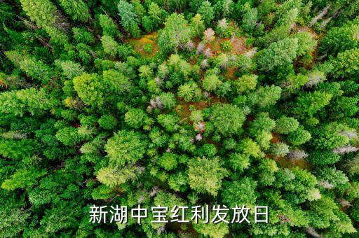 新湖中寶什么時(shí)候分紅，新湖中寶是不是要分紅啊我929買的是高拋還是持倉(cāng)呢