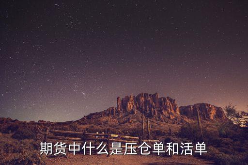 上海期貨交易所標(biāo)準(zhǔn)倉單是什么，期貨中倉單是什么