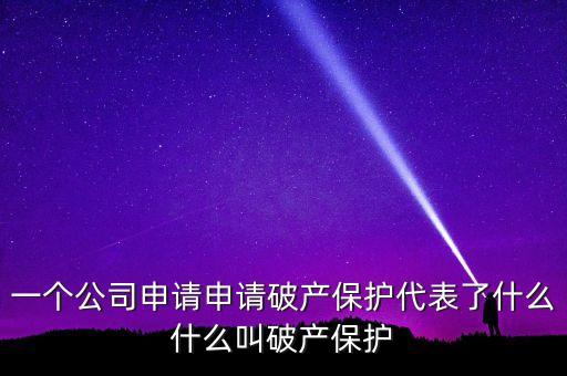 申請破產(chǎn)保護(hù)是什么意思，破產(chǎn)保護(hù)是什么意思