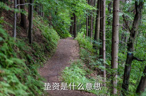 鏈家墊資什么意思，墊資和代購有什么區(qū)別墊資是墊首付還是墊尾款