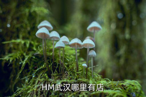 武漢禧h酒店什么時間開業(yè)，武漢哪里有快開張的酒店