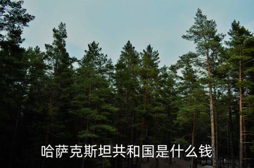 哈薩克斯坦用什么貨幣，哈薩克斯坦的貨幣名稱是什么