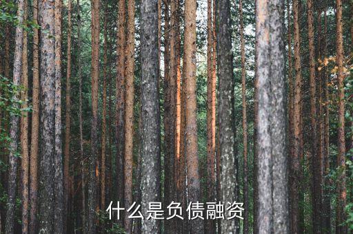 什么是負債融資，什么是負債融資