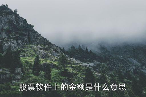 股票中金額是什么意思，股票中的金額是啥意思