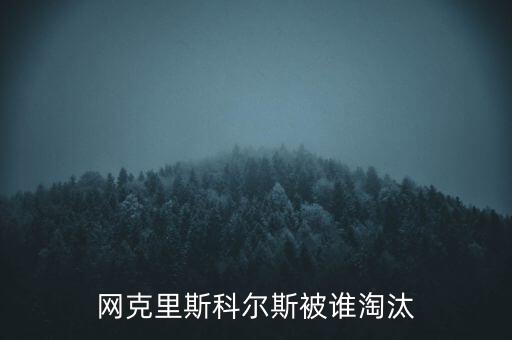 斯科爾斯為什么叫，斯科爾斯為什么叫做生姜頭