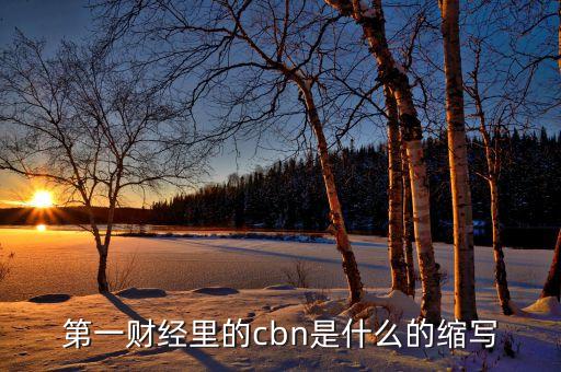 cbn在物流業(yè)中是什么意思，服裝里CBN是什么意思