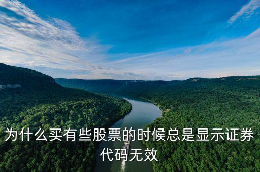 證券代碼無(wú)效什么意思，為什么買(mǎi)有些股票的時(shí)候總是顯示證券代碼無(wú)效