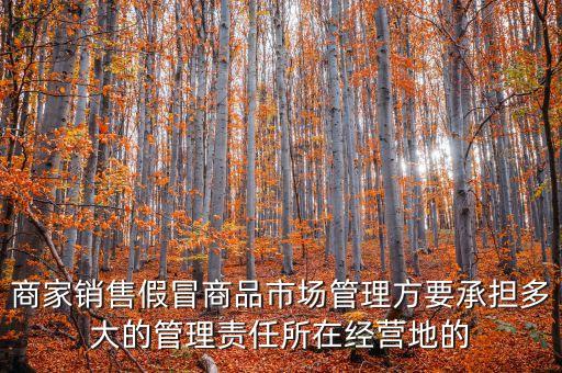 商家銷售假冒商品市場(chǎng)管理方要承擔(dān)多大的管理責(zé)任所在經(jīng)營地的