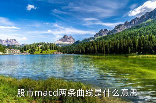 macd兩根曲線是什么意思，股市里MACD的兩條線是什么意思