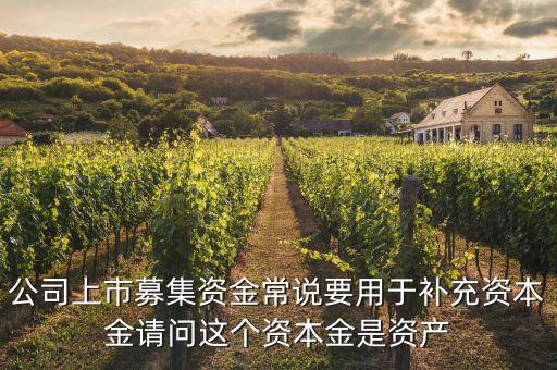 公司上市募集資金常說要用于補(bǔ)充資本金請問這個(gè)資本金是資產(chǎn)