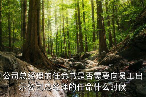 國企高管任免時(shí)間什么時(shí)候，國企的領(lǐng)導(dǎo)負(fù)責(zé)人是怎么任免的