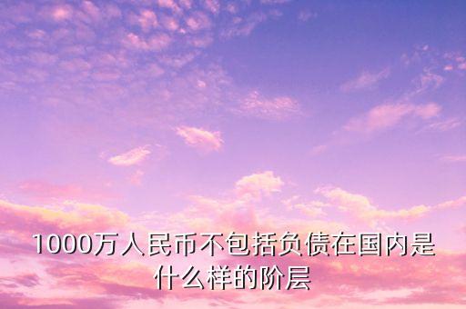 一千萬元是什么階層，1000萬人民幣不包括負(fù)債在國內(nèi)是什么樣的階層