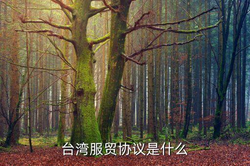 臺(tái)灣服務(wù)貿(mào)易協(xié)定是什么，臺(tái)灣服貿(mào)協(xié)議是什么