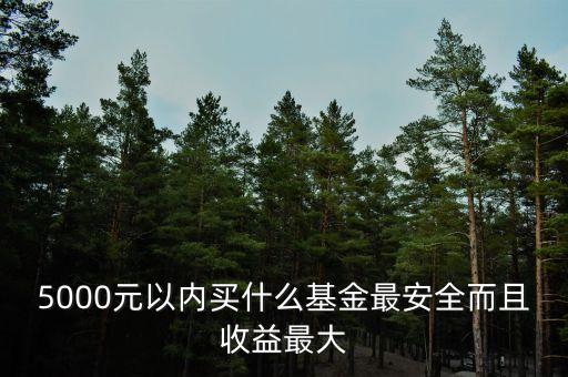 5000元以?xún)?nèi)買(mǎi)什么基金最安全而且收益最大