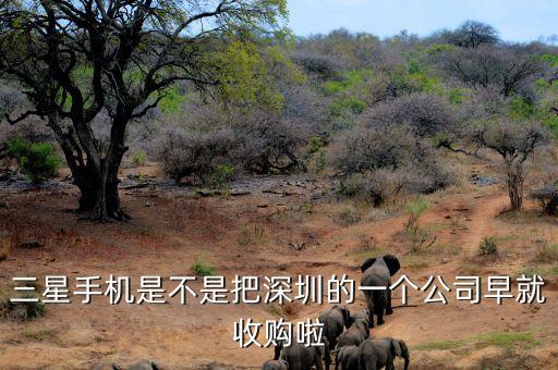 碩貝德什么時(shí)候收購(gòu)深圳璇瑰，深圳哪里有收購(gòu)書(shū)畫(huà)的