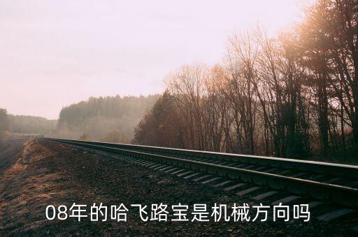 哈飛集團用什么專業(yè)，08年的哈飛路寶是機械方向嗎
