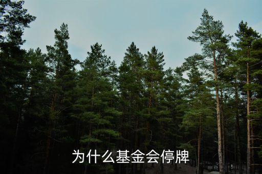 基金景宏為什么停牌，基金停牌是什么意思