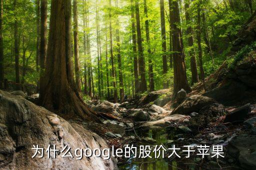 為什么google股票比apple貴，為什么微軟的股價比硅谷其他巨頭比如蘋果Google低那么多