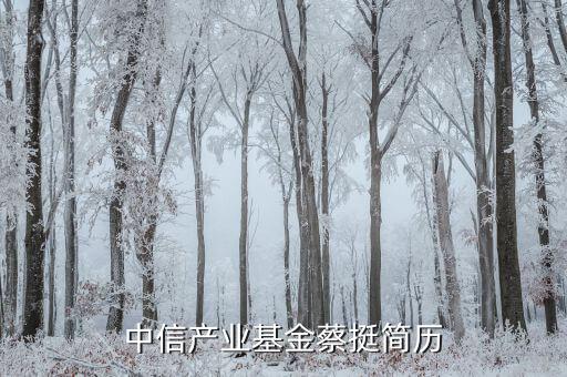 中信產業(yè)基金蔡挺簡歷