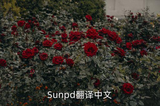 sun同上什么意思，Sunpd翻譯中文