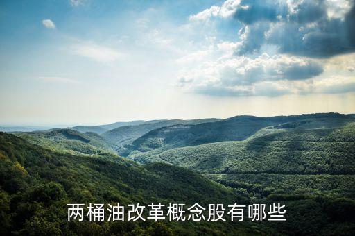 石油濟(jì)柴為什么st，兩桶油改革概念股有哪些