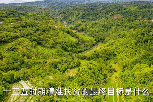 十三五河池精準(zhǔn)脫貧是什么，十三五時期精準(zhǔn)扶貧的最終目標(biāo)是什么