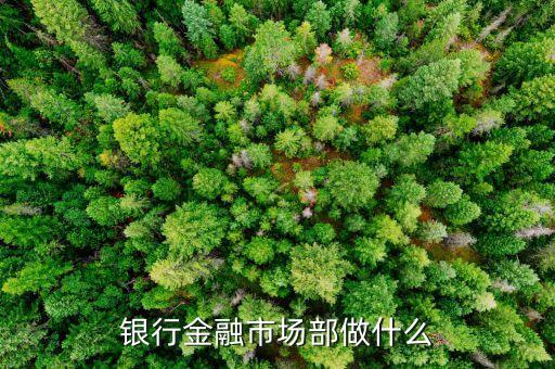 民生銀行金融市場(chǎng)部做什么，銀行金融市場(chǎng)部做什么