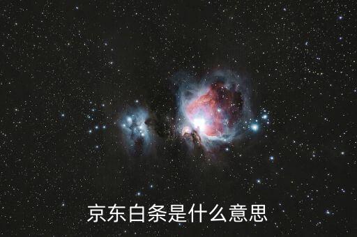 京東支持打白條什么意思，京東白條支付是什么意思