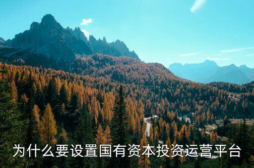 國家為什么要投資辦企業(yè)，為什么要設置國有資本投資運營平臺
