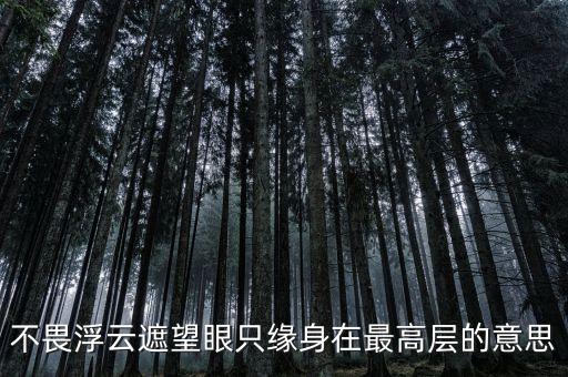 不畏浮云遮望眼什么意思，不畏浮云遮望眼 只緣身在最高層是什么意思