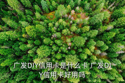 什么是diy信用卡，廣發(fā)DIY信用卡是什么卡 廣發(fā)DIY信用卡好用嗎